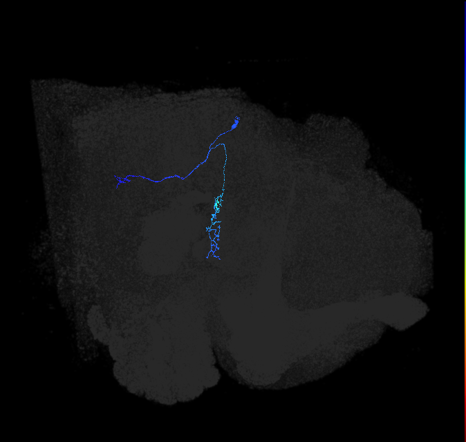 1562054982