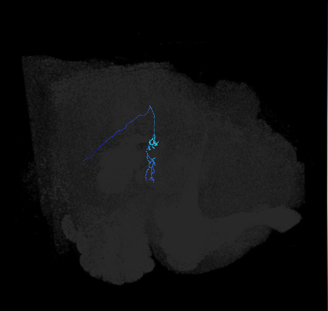 1566173885