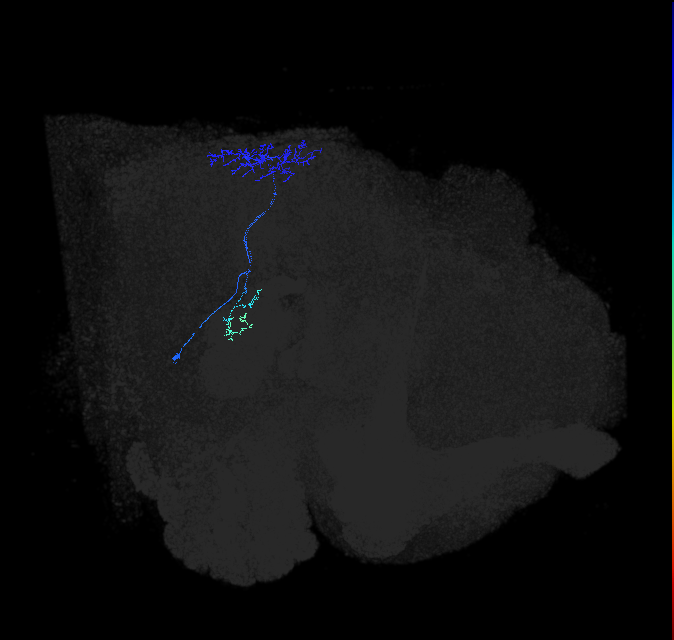 1621357756