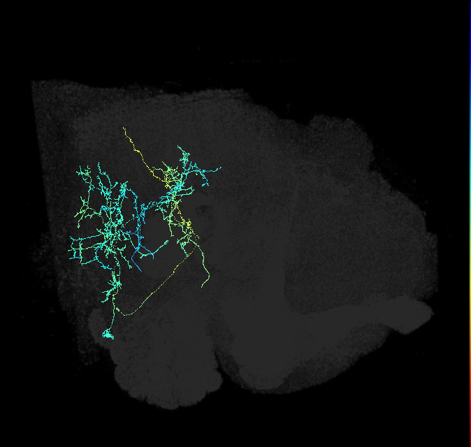 1875181194