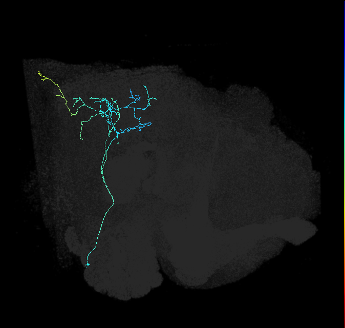 1654530151