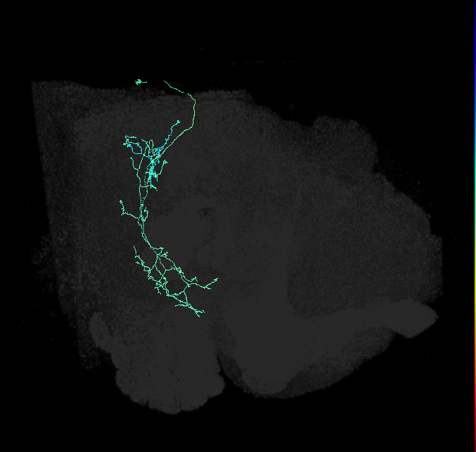 1696159313