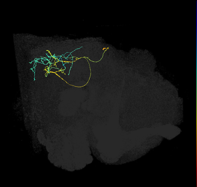 1815895547