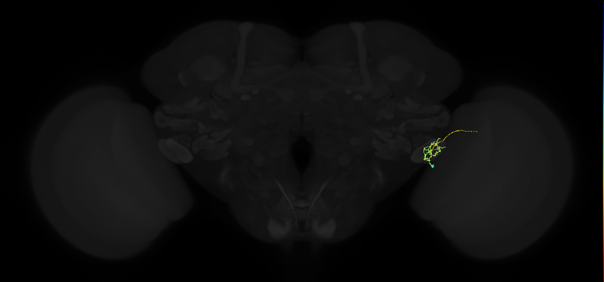 1690917721