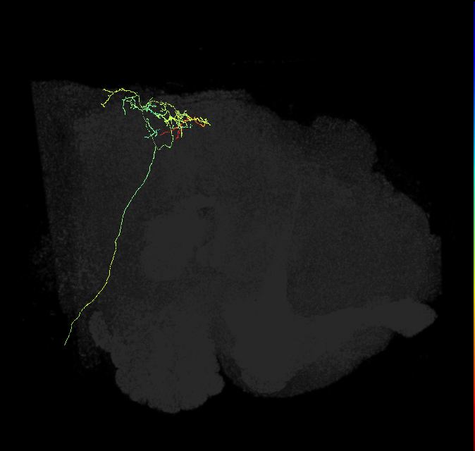 5812990538