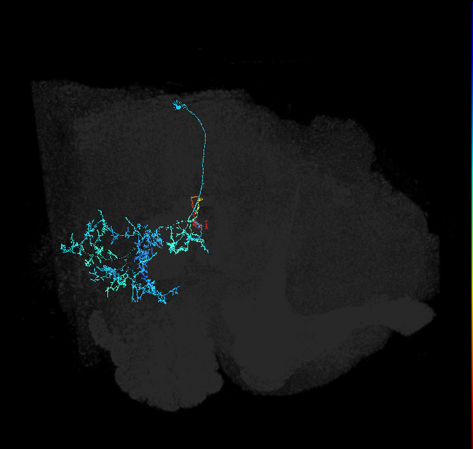 1716577833