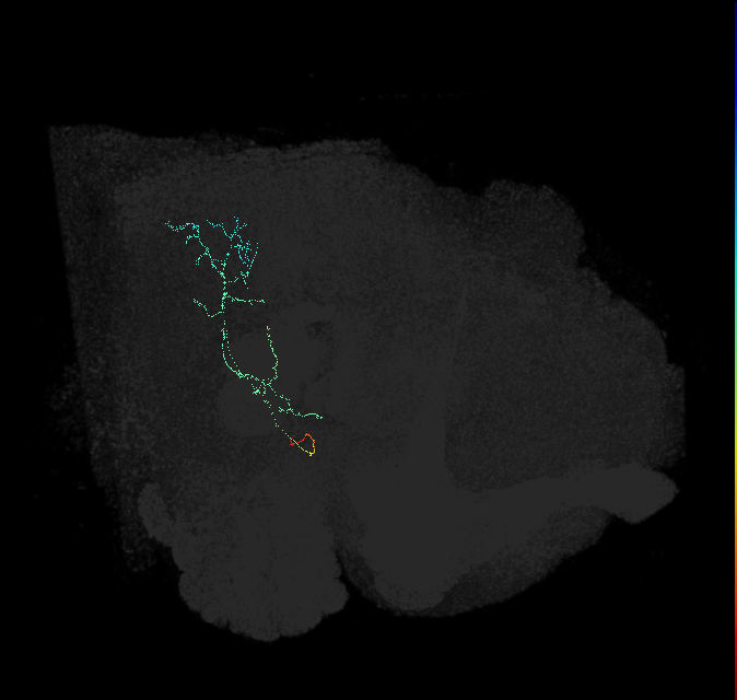 1725837767