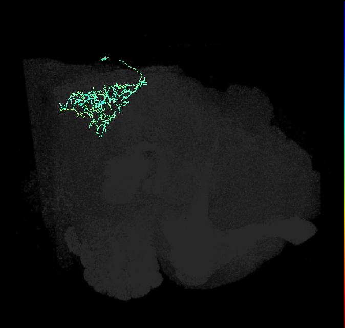 1745614242