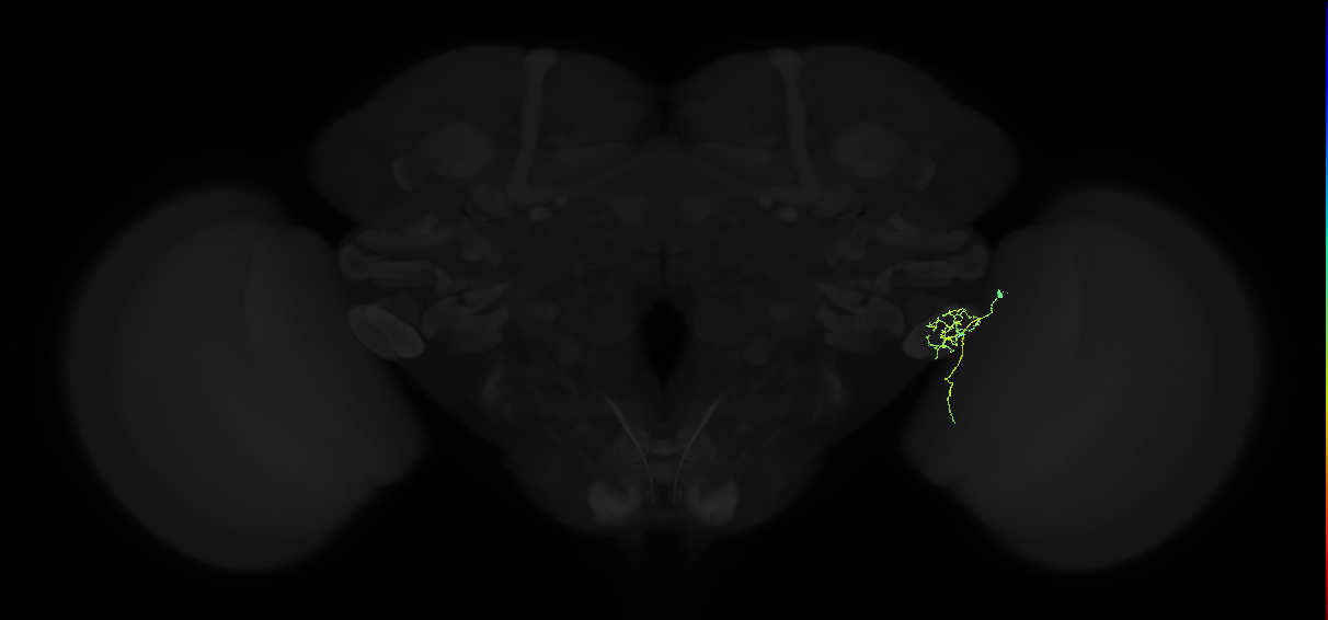 1817112807