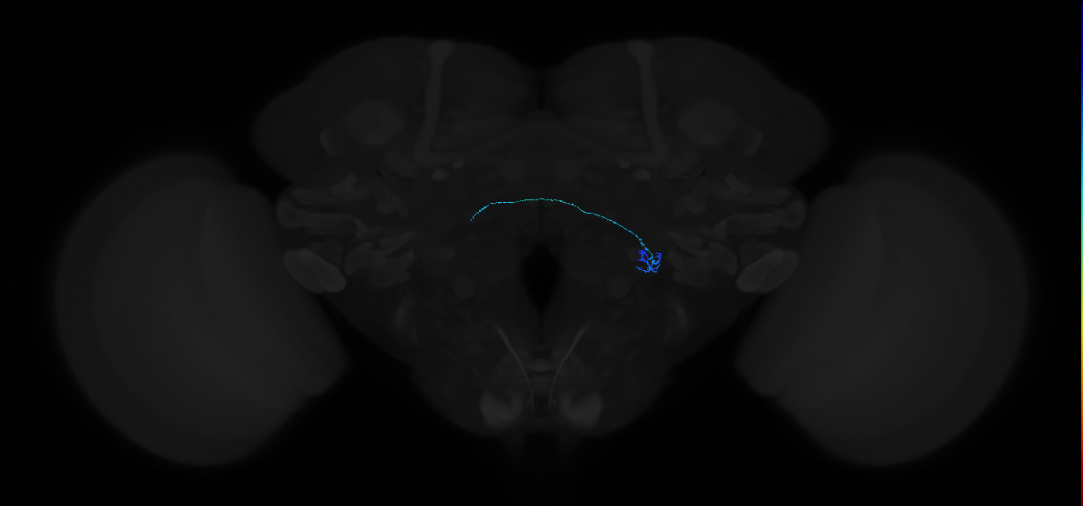 2227162831