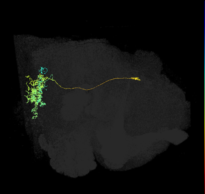 1099073905