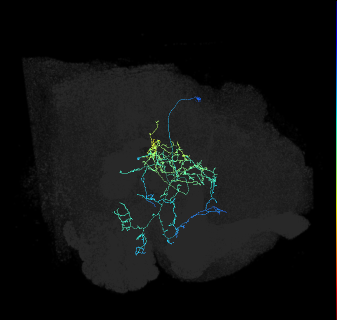 CL266