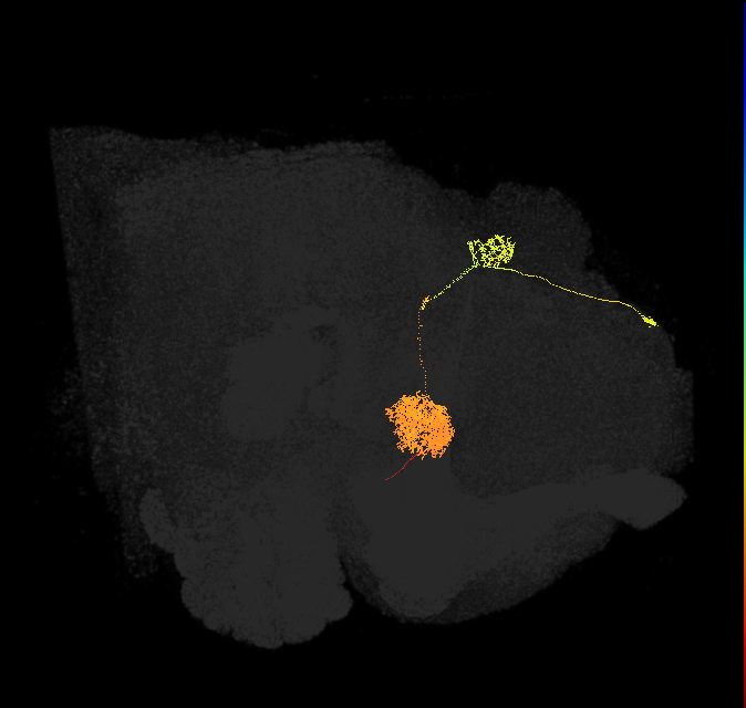 EPG_PB4