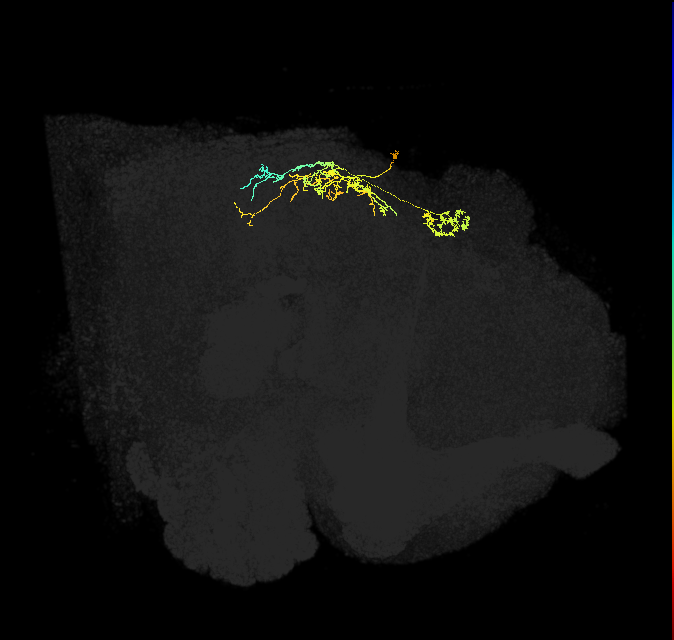 IbSpsP(PB17)_R3/4/5