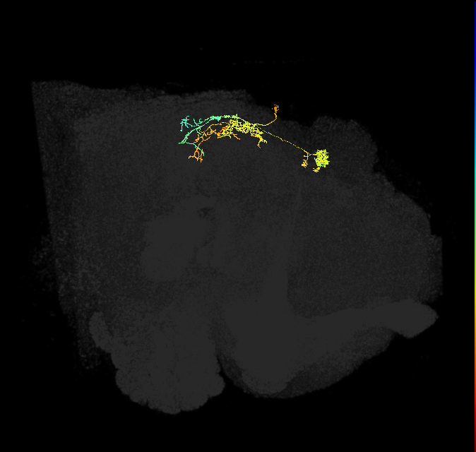 IbSpsP(PB17)_R3/4/5