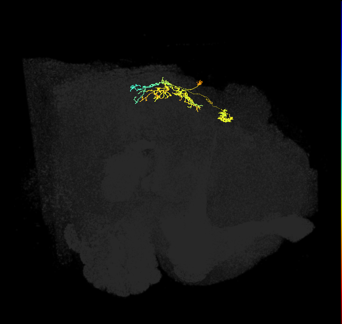 IbSpsP(PB17)_R4