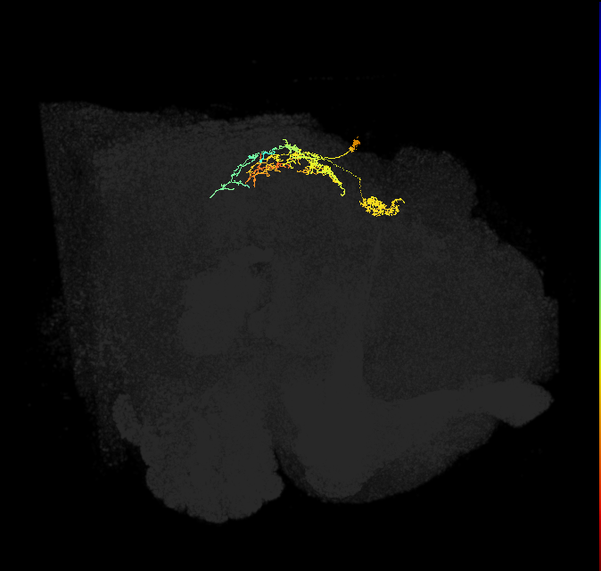 IbSpsP(PB17)_R2/3