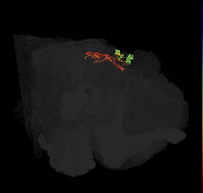 IbSpsP(PB17)_R7/9