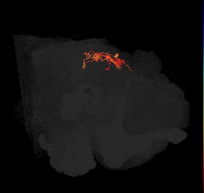 IbSpsP(PB17)_L9