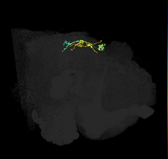 IbSpsP(PB17)_R8