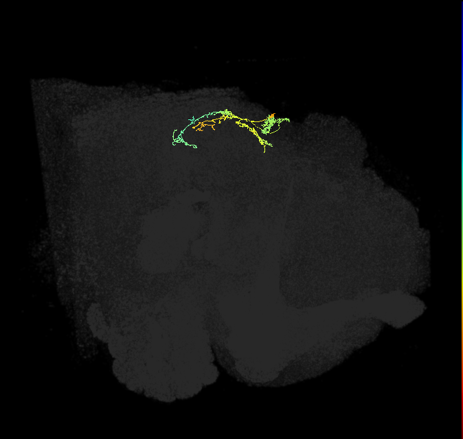 IbSpsP(PB17)_R9