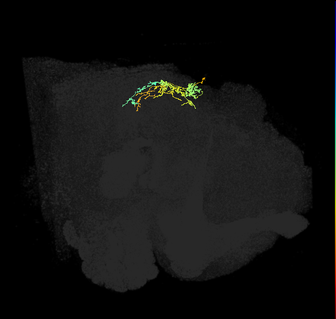 IbSpsP(PB17)_R9