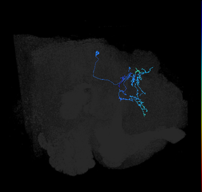 LHPV2a1_a_R