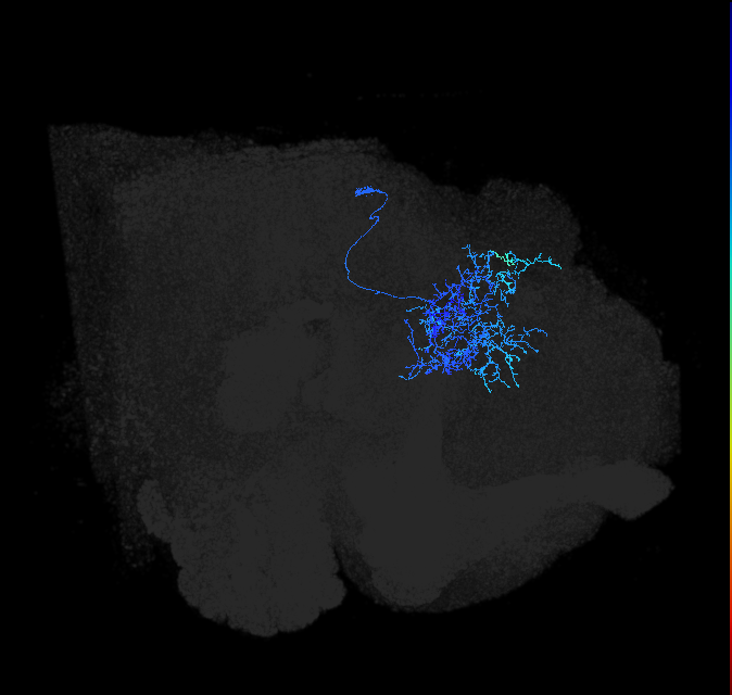 LHPV2a1_e_R