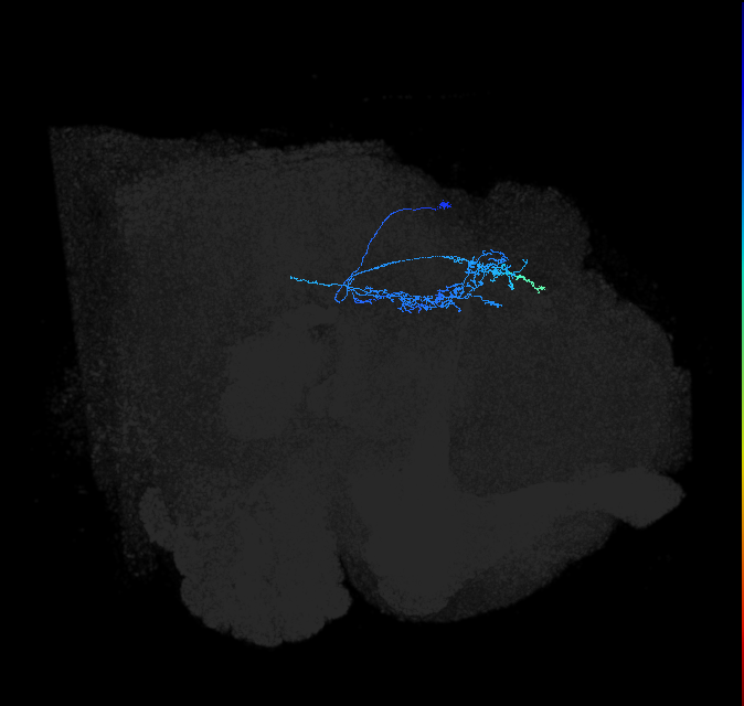 LHPV2f2_R