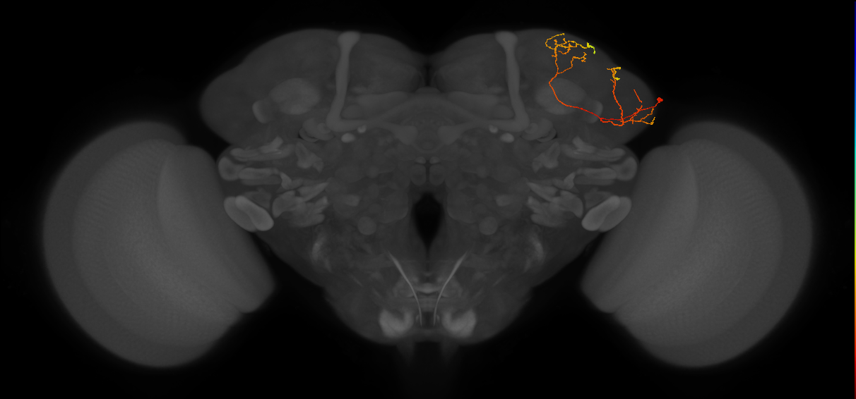 LHPV5h1