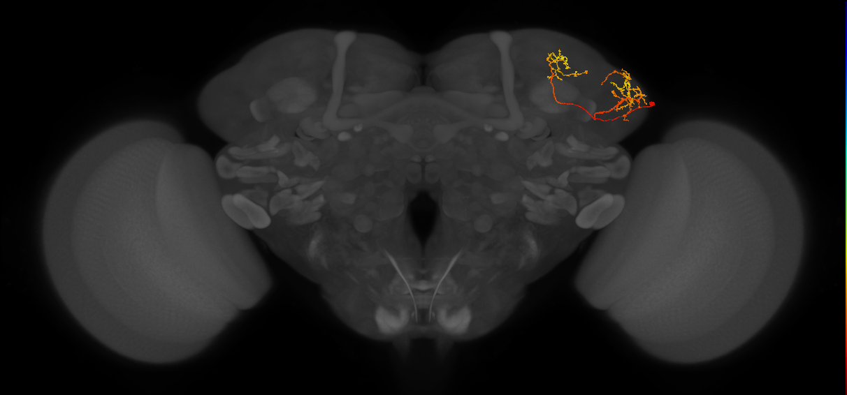 LHPV5h2