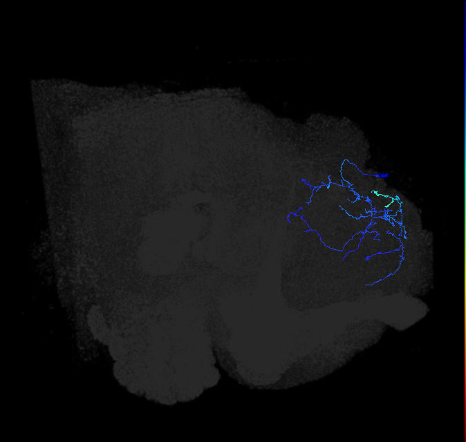 LHPV6a3_b_R