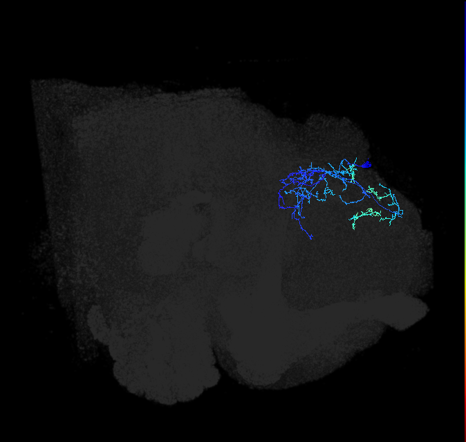 LHPV6h1