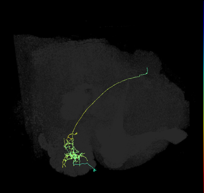 M_lPNm11D_R
