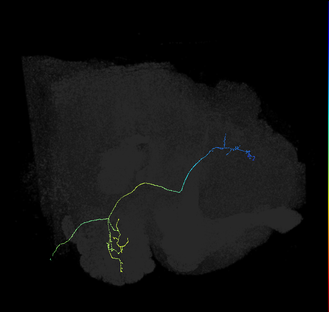 M_vPNml74_R