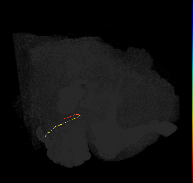ORN_VM6