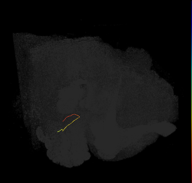 ORN_VM6