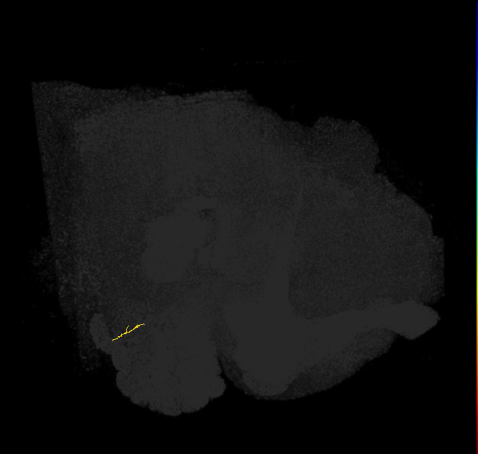 ORN_VM6
