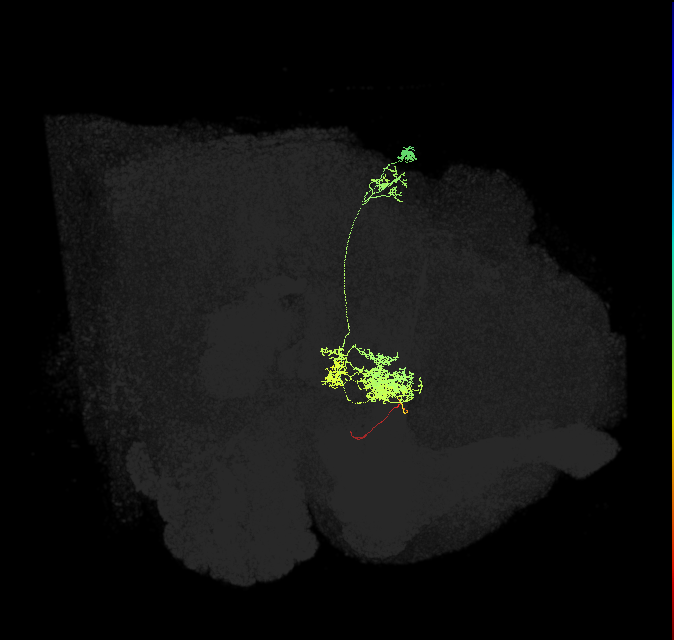 PFGs(PB10)_R9_C1