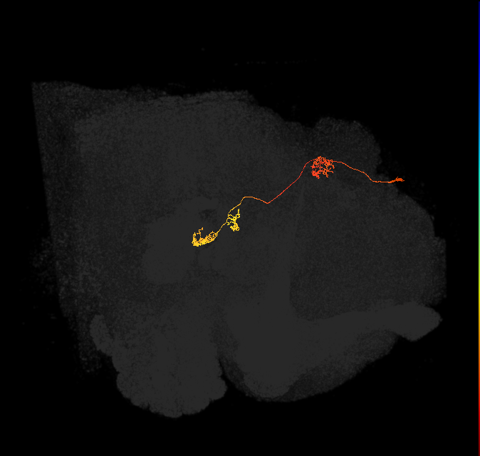 PFNm_PB4