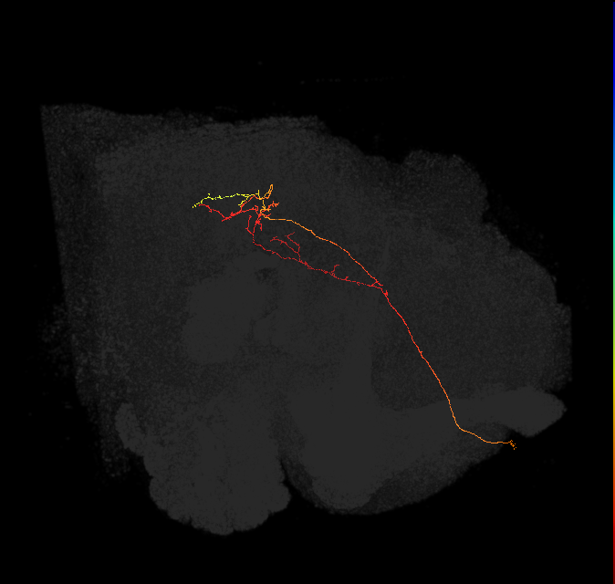 PS005_a(ADM01)_L