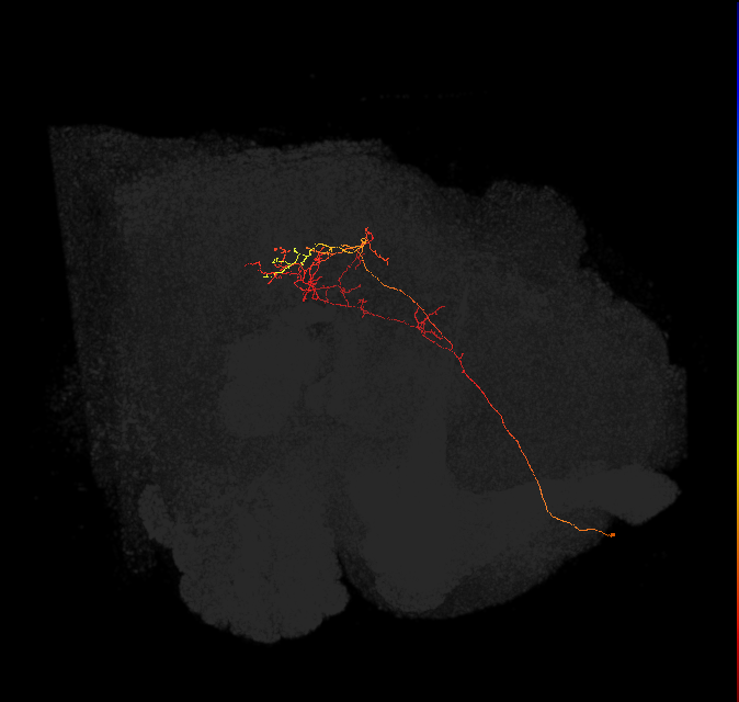 PS005_c(ADM01)_L