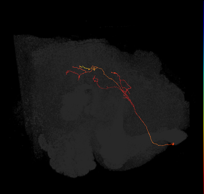 PS005_c(ADM01)_L