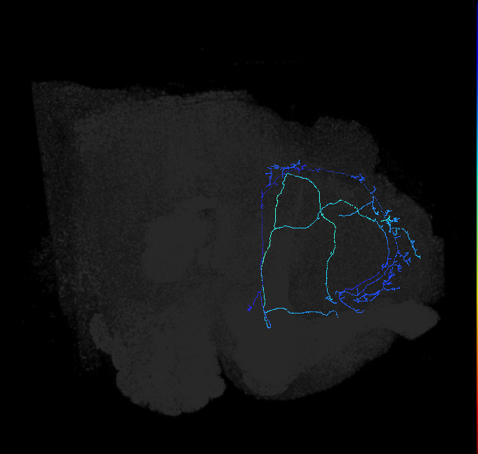 SLP223_R