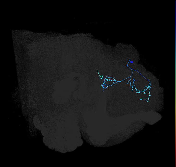 SLP275_R