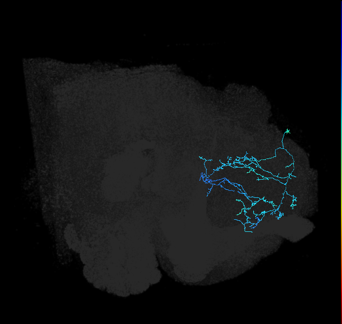 SLP285_R