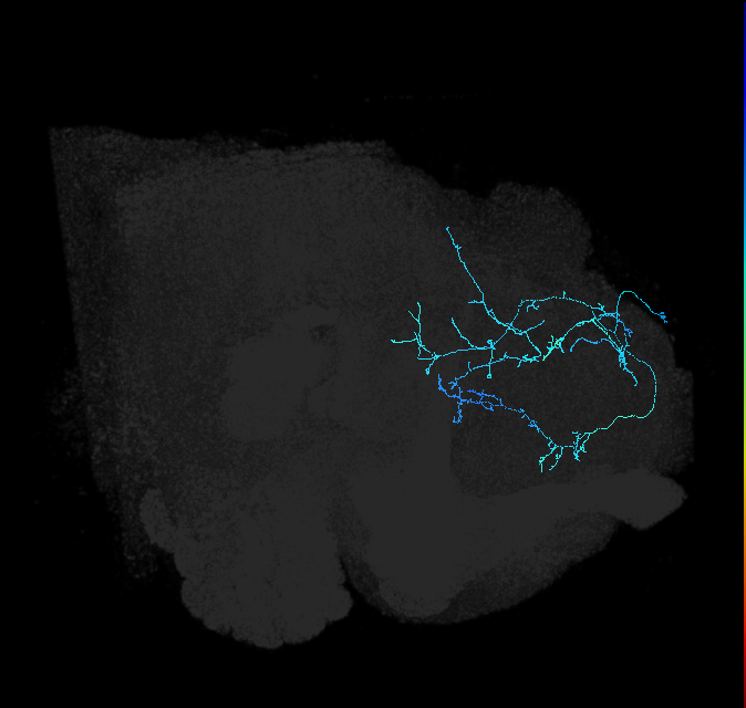 SLP286_R