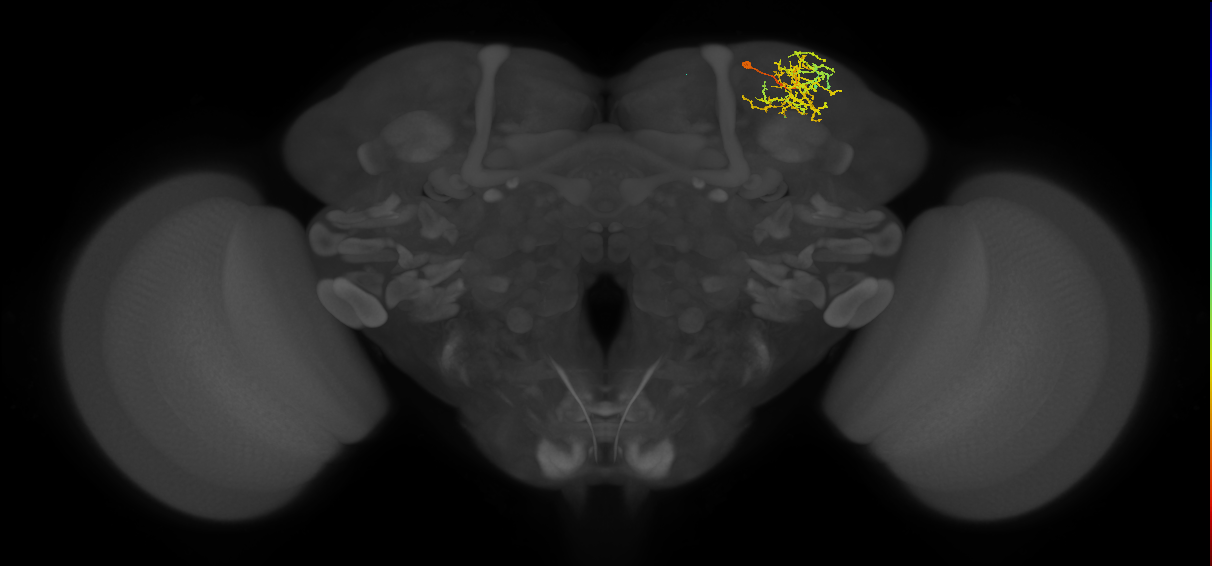 SLP289_R