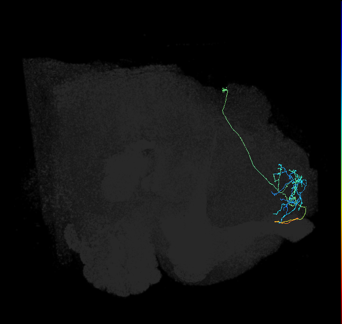SLP405_a_R