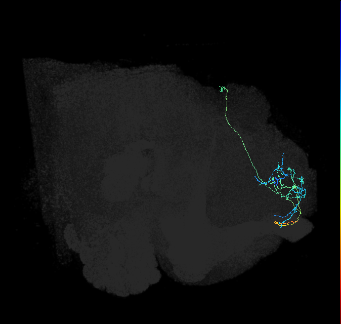SLP405_a_R